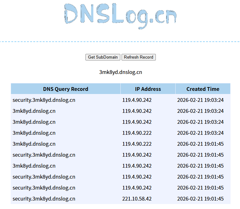 dnslog